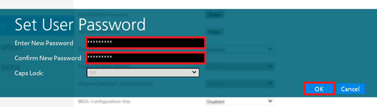 Enter New PasswordとConfirm New Passwordの項目、OKが赤く囲われている画像