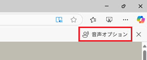 音声オプションが赤で囲われた画像