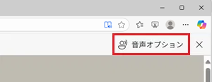 音声オプションが赤で囲われた画像