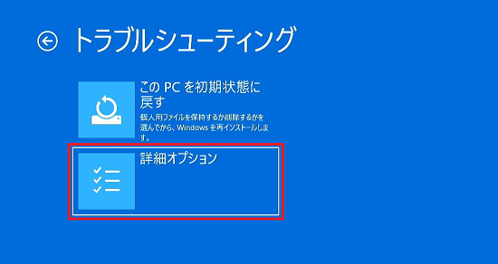 詳細オプション
