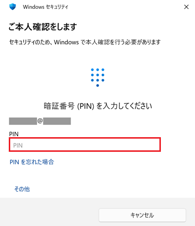 PIN コード