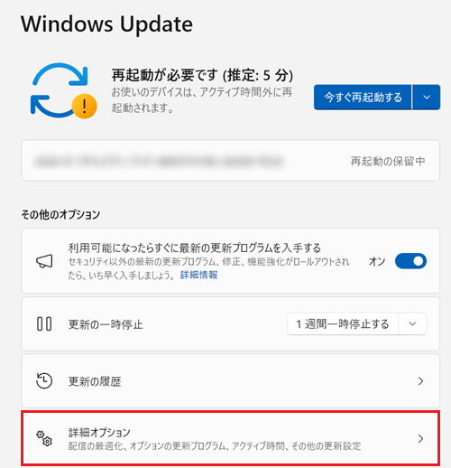 Windows Update画面で詳細オプションに赤い枠