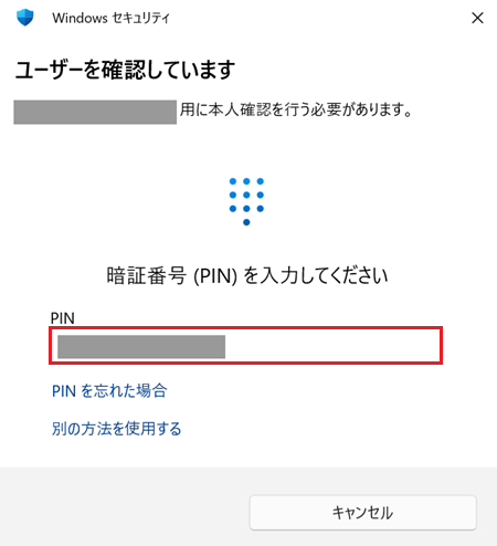 PINの入力欄が赤で囲われている画像