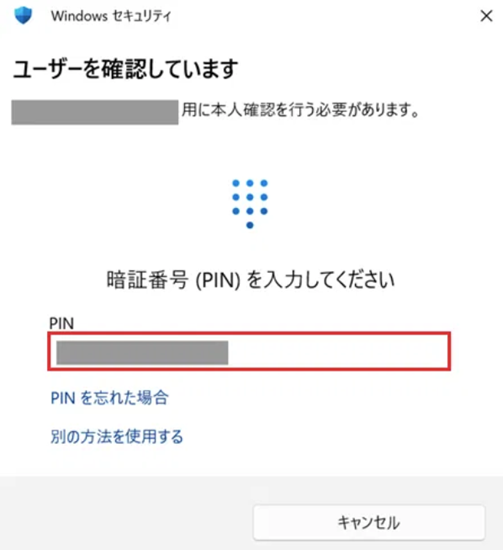 PINの入力欄が赤で囲われている画像